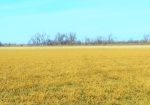 140 Acre Irrigated Farm Land – Vale