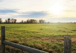 117 Acre Farm with Ranch Home – Vale