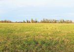 117 Acre Farm with Ranch Home – Vale