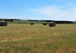 3 Bed Ranch Home on 160 Acres – Belle Fourche