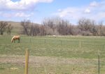 10 Acre Lot in Belle View – Belle Fourche