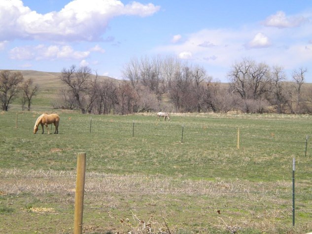 10 Acre Lot in Belle View – Belle Fourche
